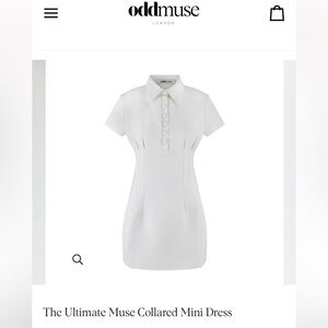 The Ultimate Muse Collared Mini Dress by Odd Muse